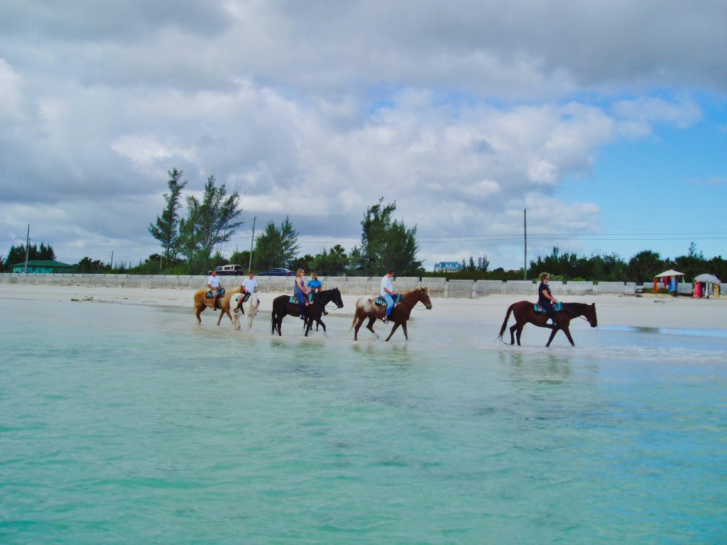 Beach Horseback Riding Bahamas