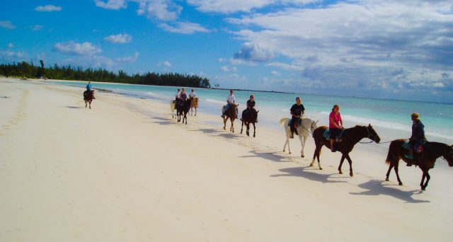 best excursions in freeport bahamas