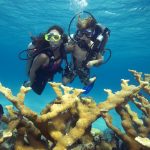 Discover Dive Nassau