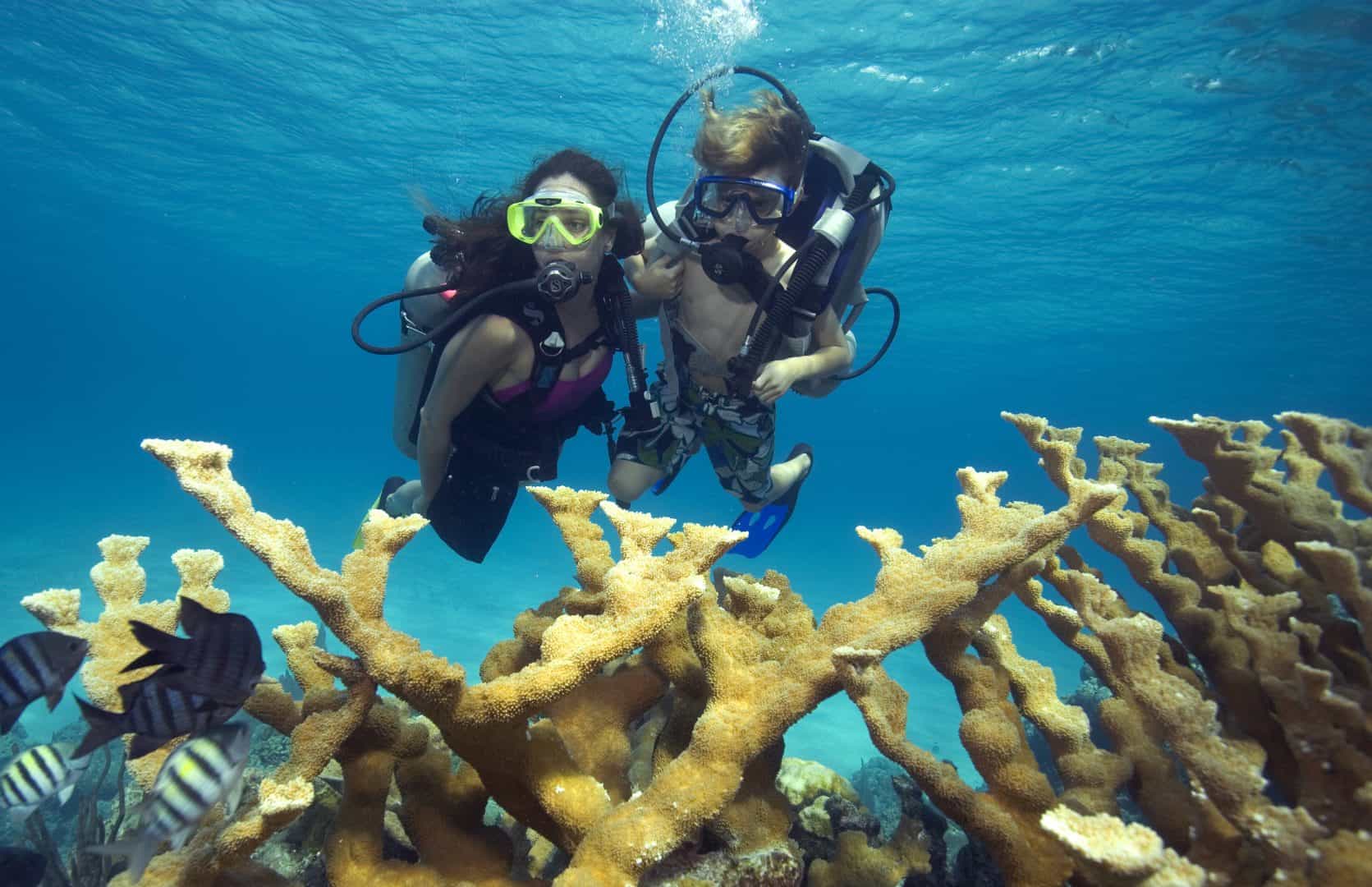 Discover Dive Nassau