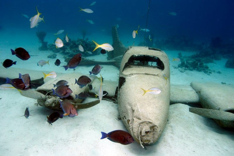 Nassau Discover Dive