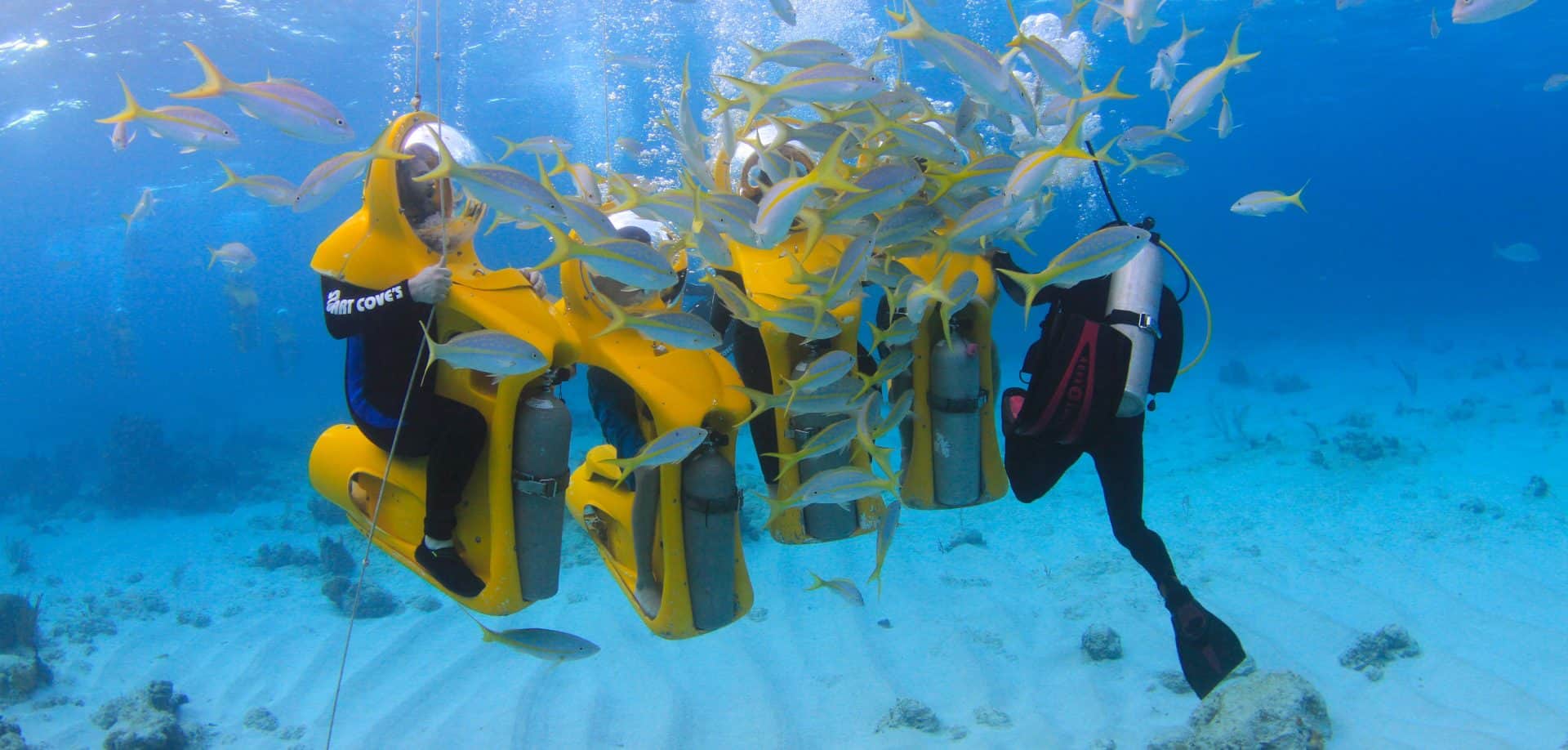 Nassau Ultimate Snorkeling Adventure - Bahamas Cruise Excursions