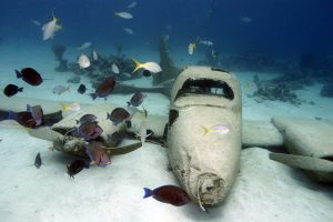 Nassau Snorkeling Airplane Wreck Snorkeling