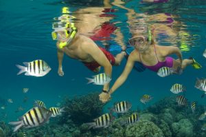 Nassau Ultimate Snorkeling Couple