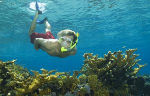 Nassau Ultimate Sorkeling Reef