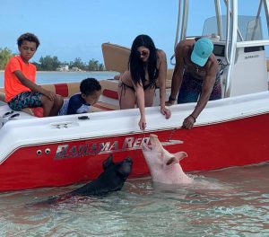 swim with pigs bahamas